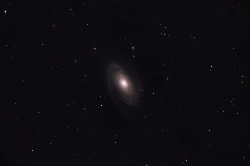 M81