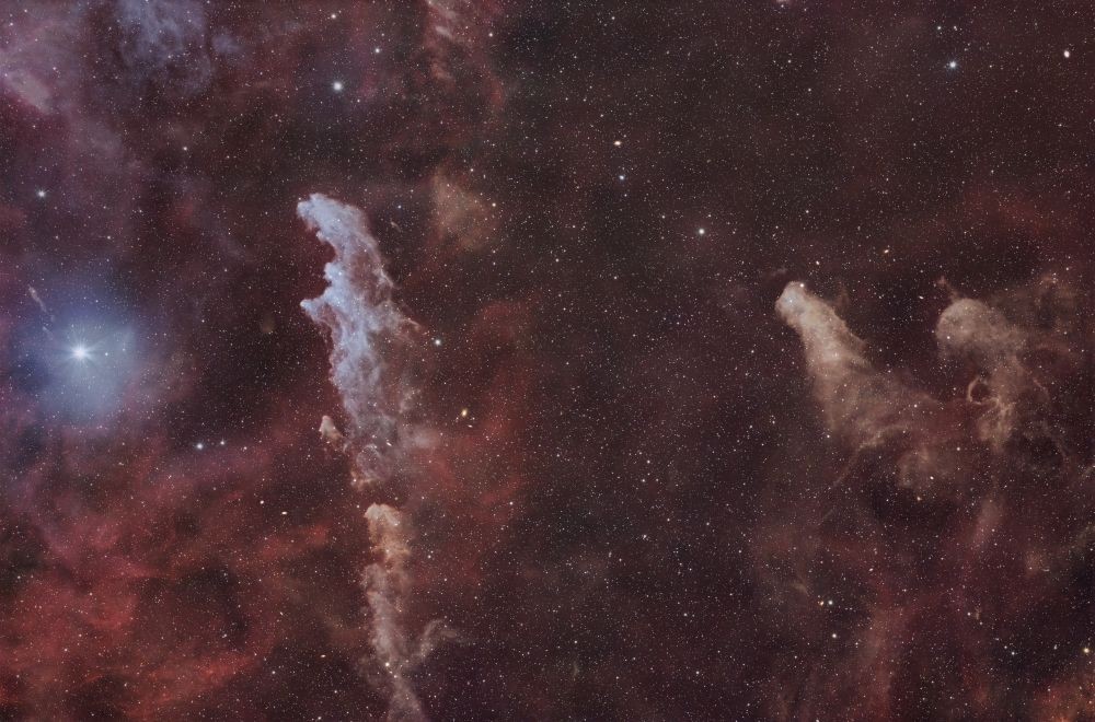 Rigel, the Witch Head, and the Wolf of Orion. - Astrophotography