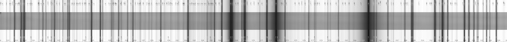 A section of the Sun's spectrum (magnesium triplet)