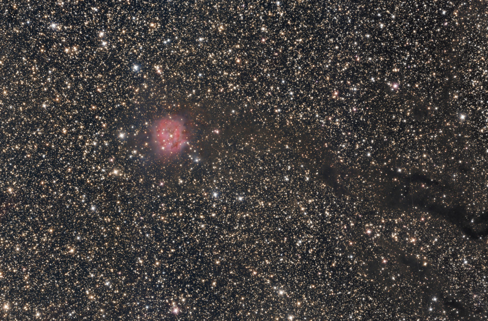 The Cocoon Nebula (IC 5146)