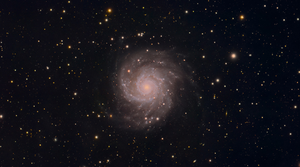M74