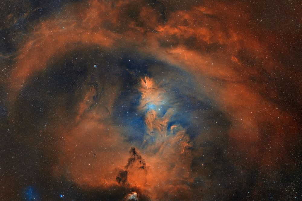 The Christmas Tree Nebula (NGC 2264)