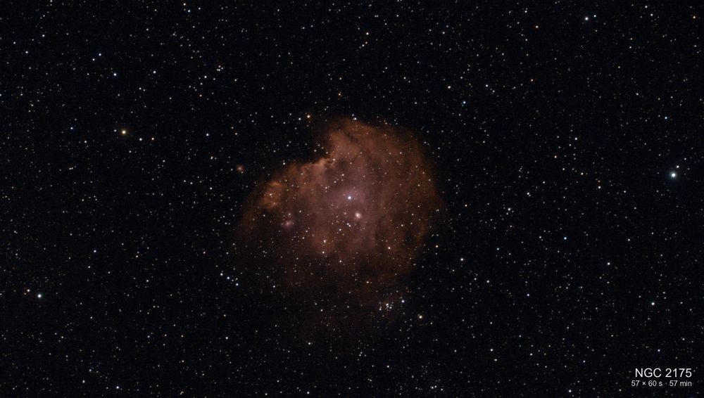 Monkey Head Nebula (NGC 2175)