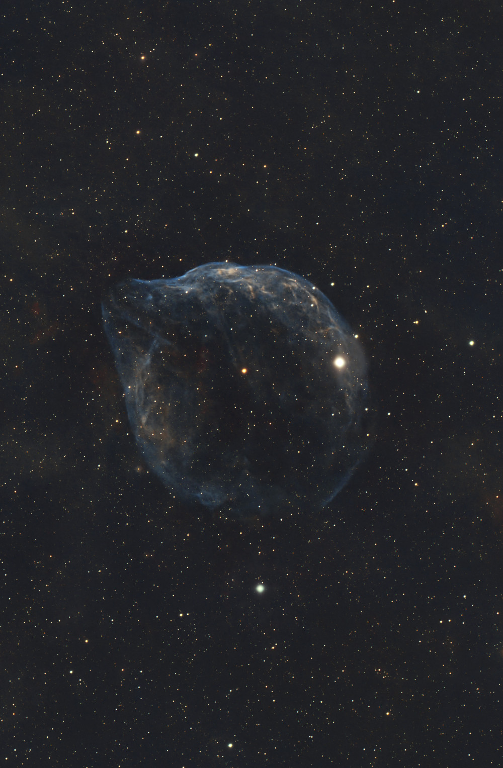 SH2-308 - Astrophotography