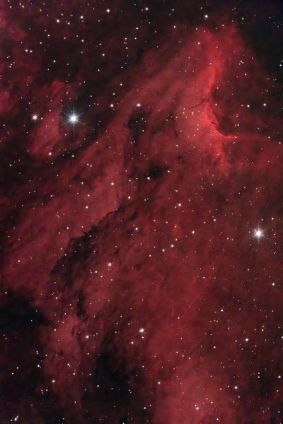 IC5070 Пеликан крупным планом