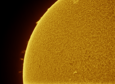Sun (H-alpha) and Protuberance. 01.07.19.