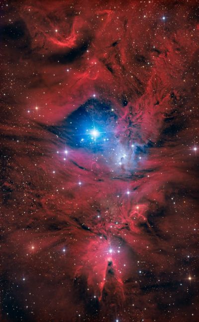 NGC 2264 "Рождественская ёлка"