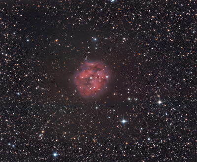 IC 5146 Cocoon Nebula