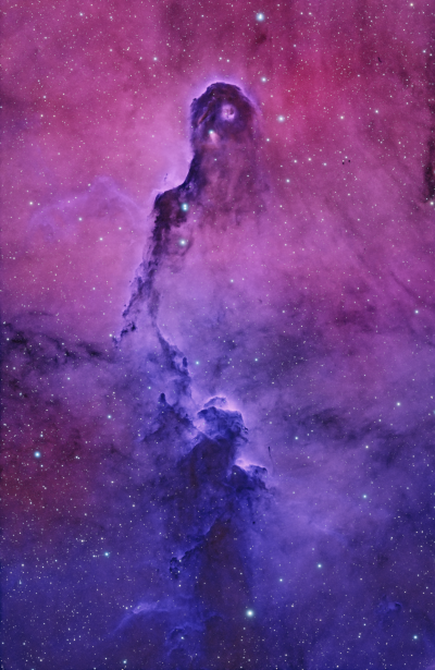 Elephant's Trunk Nebula