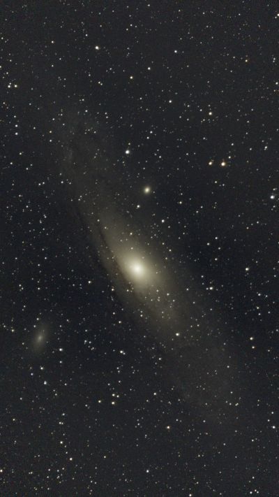 M31