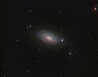 M63 - Sunflower Galaxy