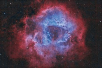 NGC 2244 - Rosette Nebula - Chuck Novice