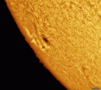 Хромосфера Солнца