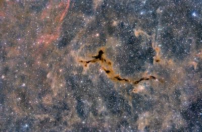 Seahorse Nebula