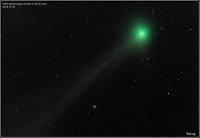 C2014Q2 (Lovejoy) & NGC1156