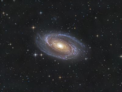 M81 & UGC 5336