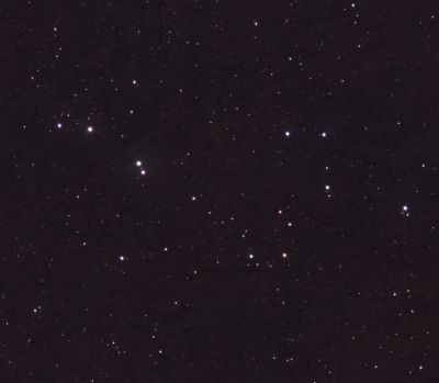 The asterism of the Dog - Astrophotography