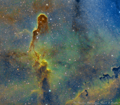 The IC1396 nebula in Cepheus