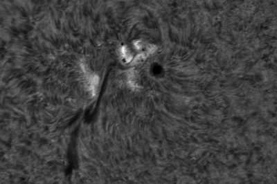 2020.06.07 Sun AR12765 H-Alpha
