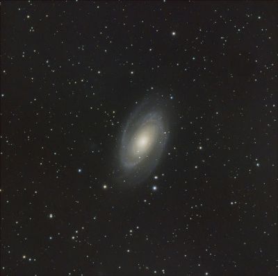 M81