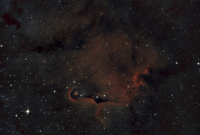 IC1396 - Хобот слона