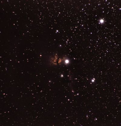 NGC 2024