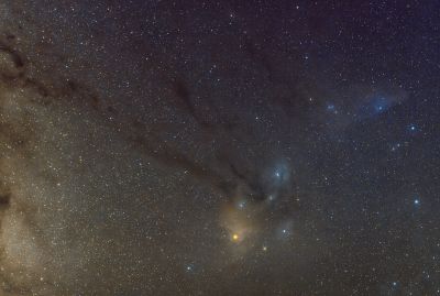 Scorpius
