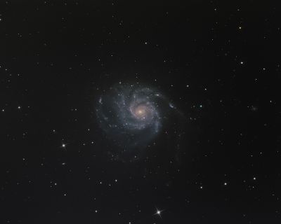 M 101