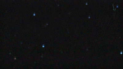 Зелёная комета