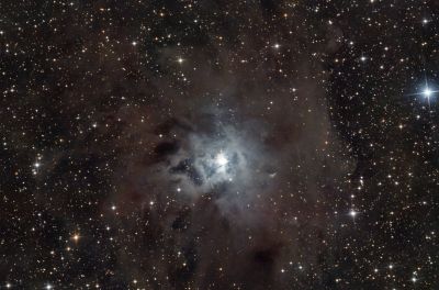 NGC7023 Ирис