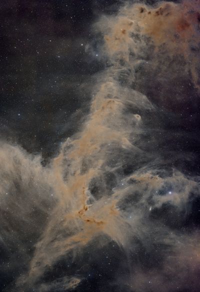 Dusty pterodactyl nebula (Chamaeleon Cloud Complex)