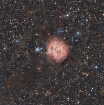 IC 5146 - The Cocoon Nebula
