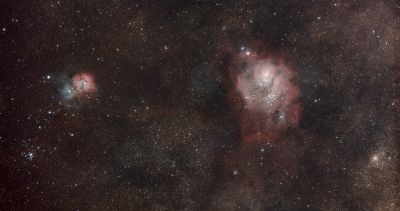 Trifid & Lagoon