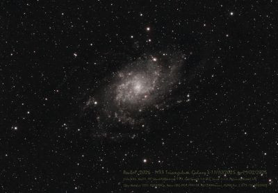 M33