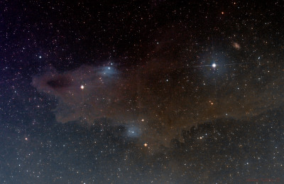 Shark (vdB 150)  19.03.2026 - Astrophotography