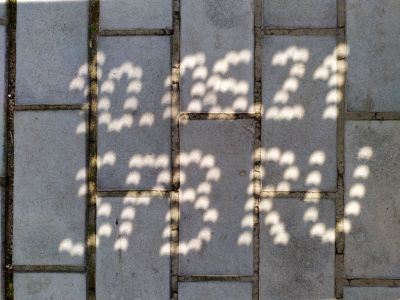 Partial solar eclipse