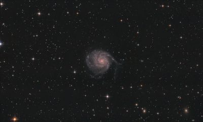 M101