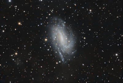 NGC925