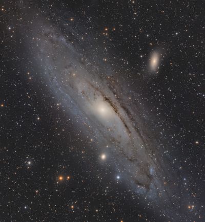 M31