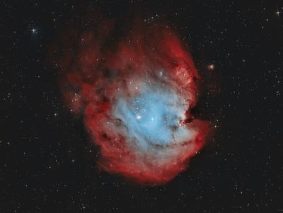 NGC 2174 "Голова обезьяны"