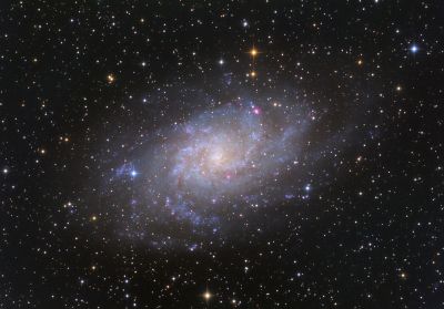 M33
