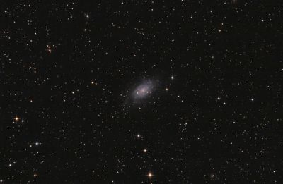 NGC 2403