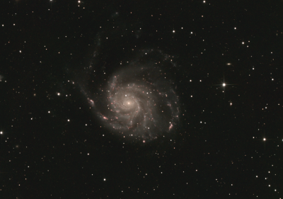 M101
