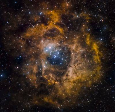 NGC 2237 Rosette Nebula