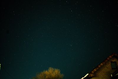 Созвездия Рака, Малого Пса, Близнецов, Рыси, Льва, Малого Льва, а также Рассеянное звёздное скопление Ясли и другие. 