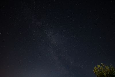 Млечный путь с огорода