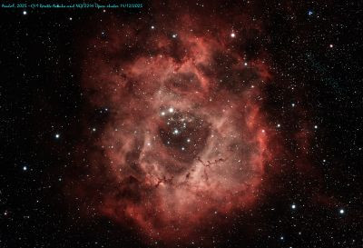 C49 - Rosette Nebula