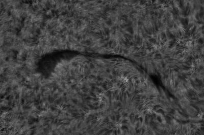 2020.10.26 Sun filament H-Alpha
