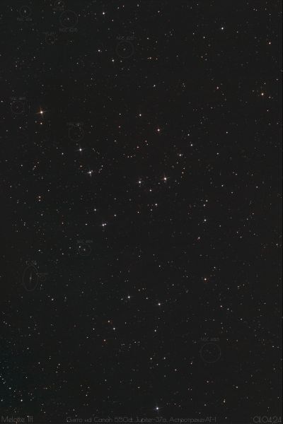 Скопление Melotte 111
