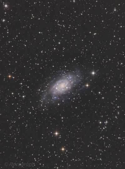 NGC 2403
